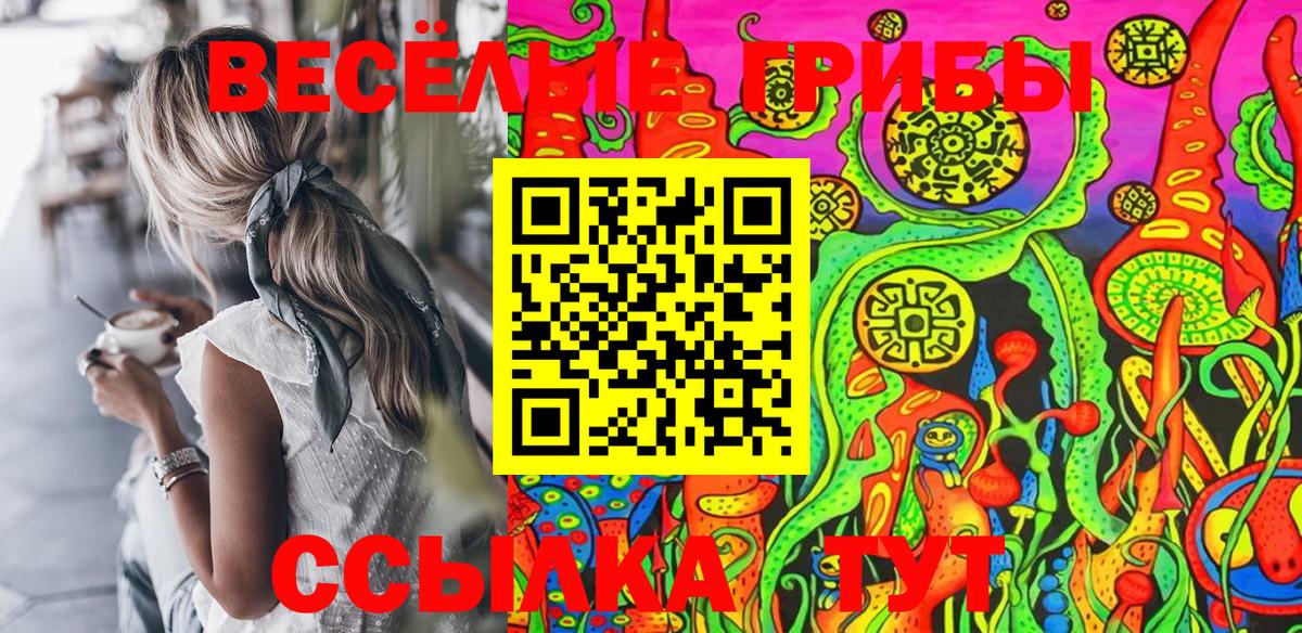 Галлюциногенные грибы Psilocybe  хочу   Галлюциногенные грибы прущие грибы  Аксай  Вход с VPN 